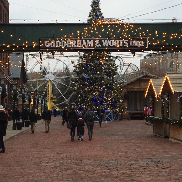 Meet your Posher, Eloise - Picture 3 of 12